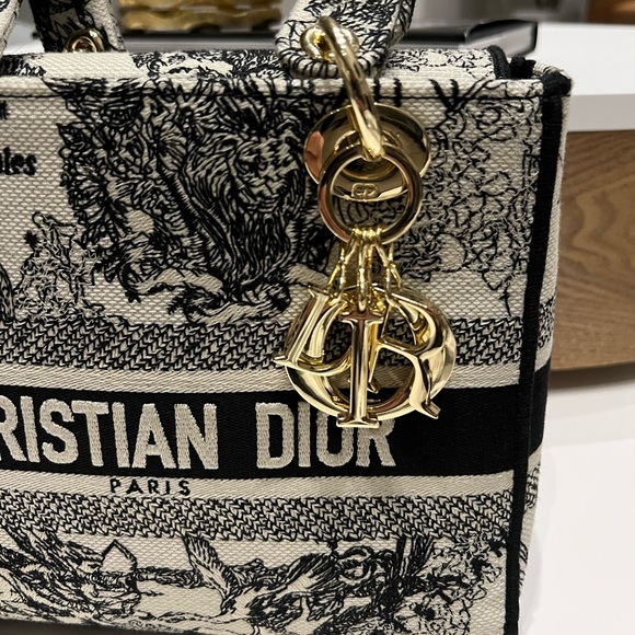 Christian Dior Medium Lady D-Lite Bag - Picture 6 of 12